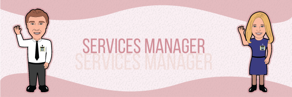 Services manager salaries