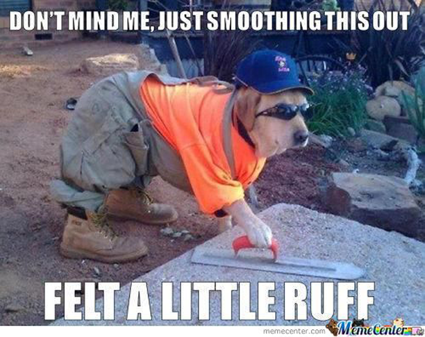 Tradie dog